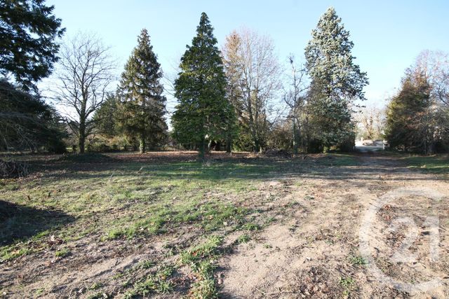 Afficher la photo en grand terrain à vendre - 3228.0 m2 - ST AY - 45 - CENTRE - Century 21 Help'Immo
