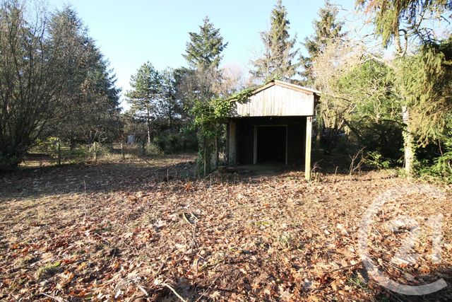 Afficher la photo en grand terrain à vendre - 3323.0 m2 - ST AY - 45 - CENTRE - Century 21 Help'Immo