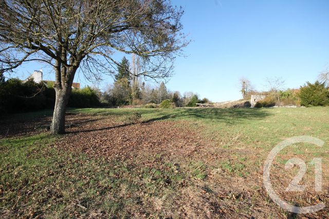 Afficher la photo en grand terrain à vendre - 6551.0 m2 - ST AY - 45 - CENTRE - Century 21 Help'Immo