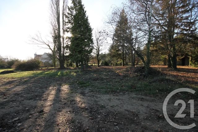 Afficher la photo en grand terrain à vendre - 6551.0 m2 - ST AY - 45 - CENTRE - Century 21 Help'Immo