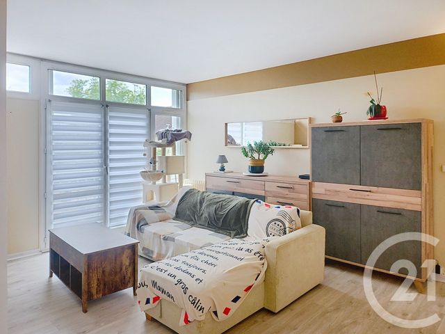 appartement - ST JEAN DE LA RUELLE - 45