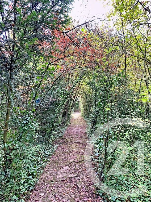 maison à vendre - 4 pièces - 69.02 m2 - LA CHAPELLE ST MESMIN - 45 - CENTRE - Century 21 Help'Immo