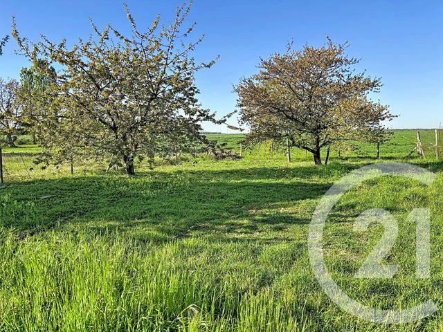 maison à vendre - 4 pièces - 81.31 m2 - GIDY - 45 - CENTRE - Century 21 Help'Immo