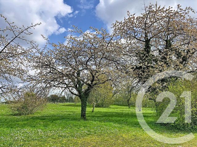 maison à vendre - 4 pièces - 100.59 m2 - MEUNG SUR LOIRE - 45 - CENTRE - Century 21 Help'Immo