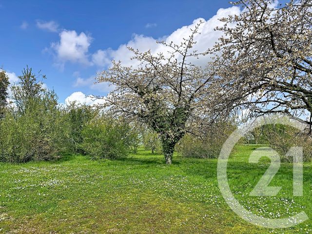 maison à vendre - 4 pièces - 100.59 m2 - MEUNG SUR LOIRE - 45 - CENTRE - Century 21 Help'Immo